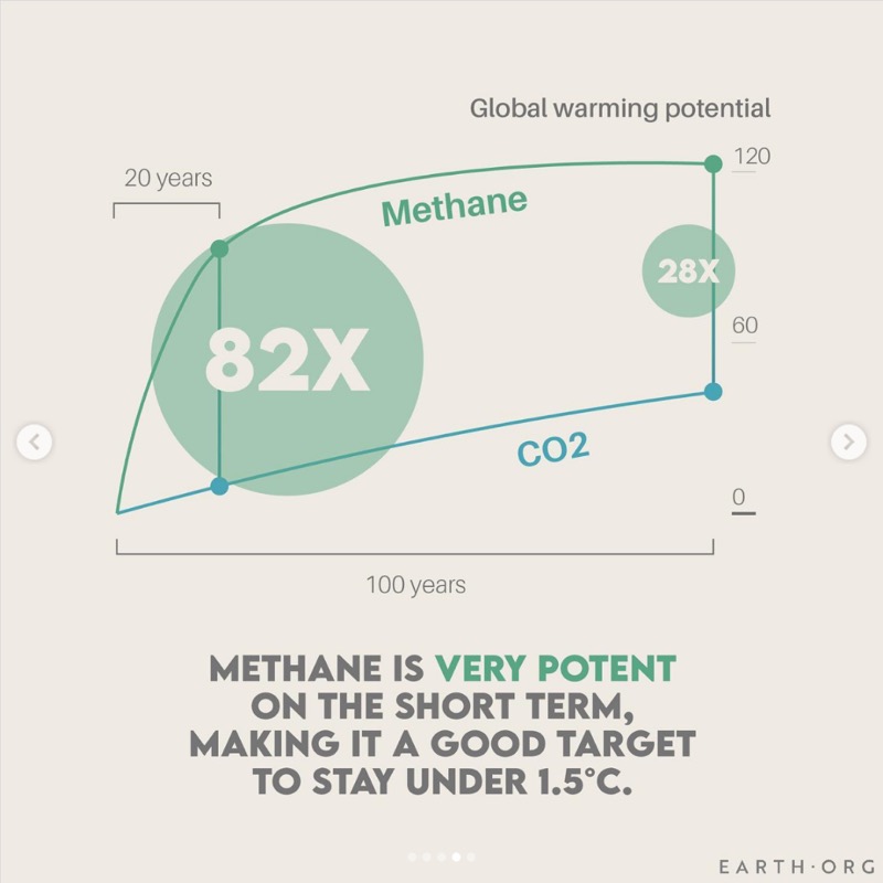 Data graphic