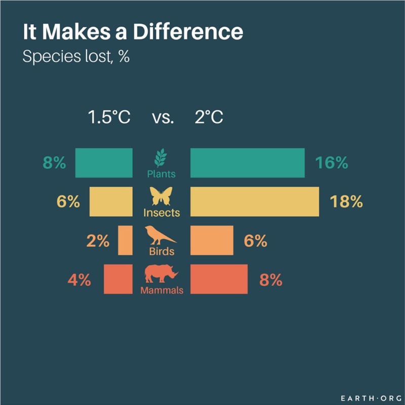 Data graphic